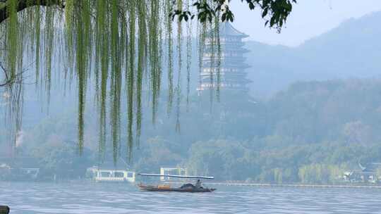 柳浪闻莺