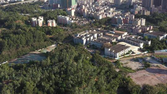 航拍深圳城市生态绿化