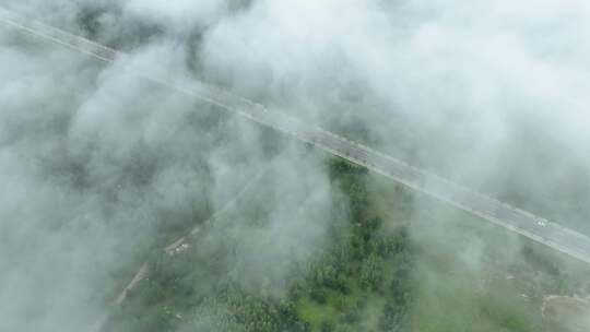 林间道路缓慢行驶的汽车