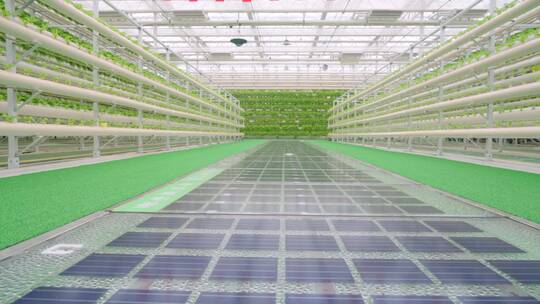 现代化温室大棚-科技农业