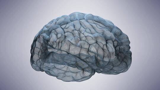 医学 大脑 脑科学 三维 脑ct1 模型