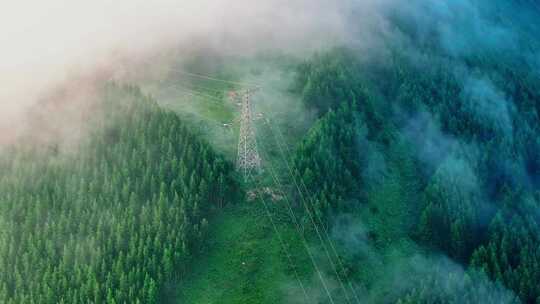 原始森林高压线电塔