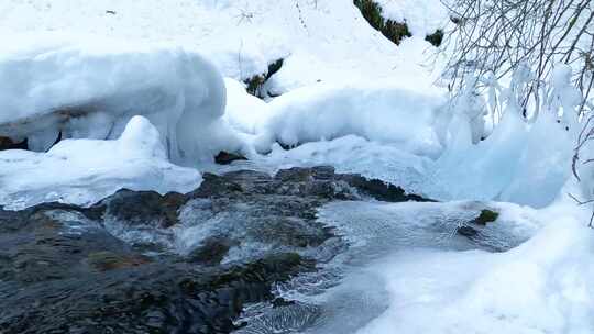 森林被大雪覆盖冰雪逐渐融化视频素材模板下载