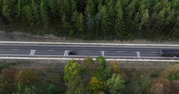 穿过森林的道路俯瞰航拍