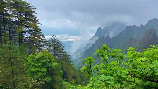 安徽黄山风景区雨后云海水墨风景区宣传片