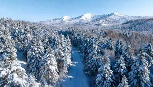 【合集】2026马年大美中国冬季自然风光