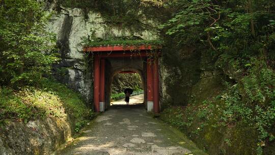 浙江绍兴新昌大佛寺各种佛院，佛像