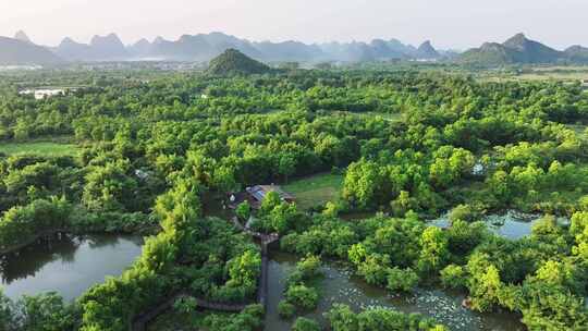 航拍广西桂林会仙湿地白鹭栖息地