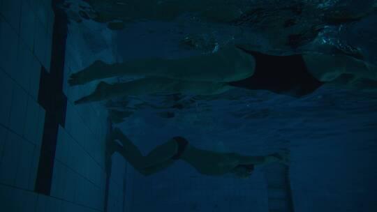 专业运动员在游泳池游泳视频素材模板下载