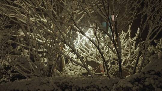 小区下雪夜景唯美飘雪