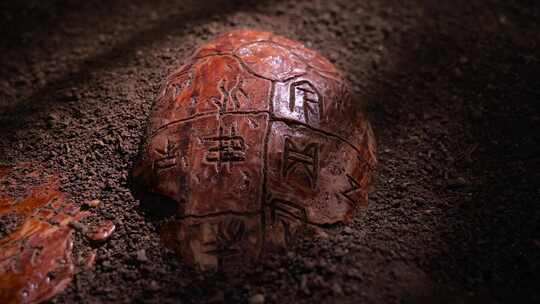 中国古代文字 甲骨文 文明起源 龟甲