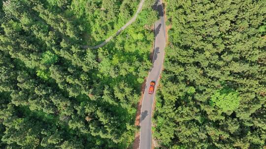 行驶在森林小路上的红色汽车/4K航拍