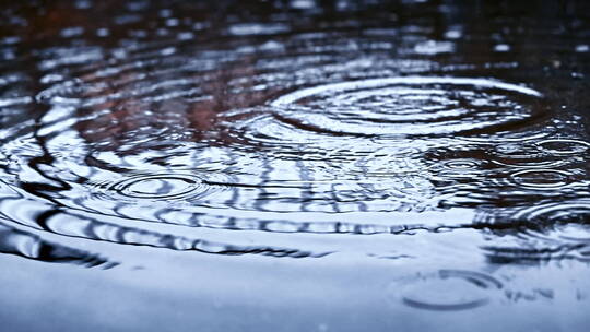 雨滴落在水潭上