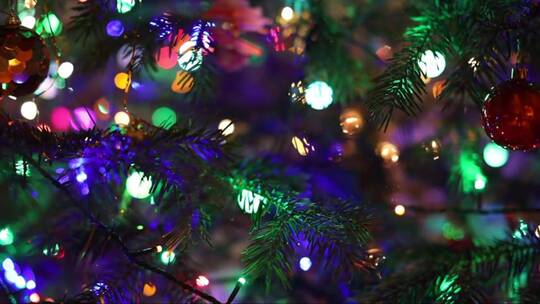 圣诞花环的五彩灯在圣诞树上快速闪烁视频素材模板下载