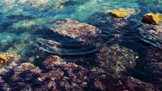 清澈的海水