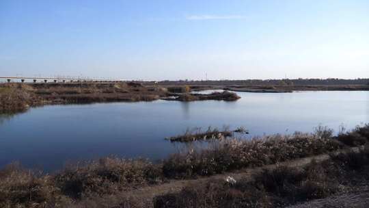 湿地 河流 河道 小溪 小河