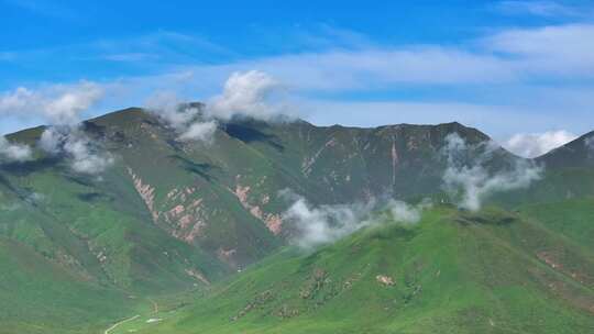 辽阔的高山草原