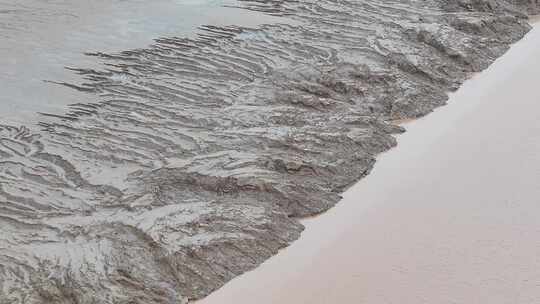 黄河流域