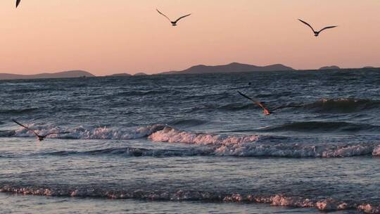 夕阳海面海浪海鸥升格空镜合集