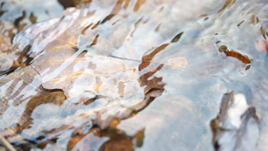 流水 小溪 生命源泉 流动的水 慢放 清水