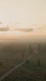 航拍特写日出前大雾浓雾森林的朦胧高清在线视频素材下载