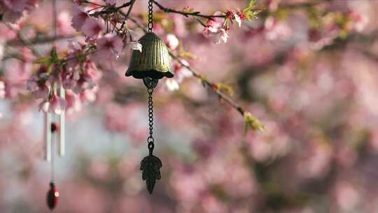 樱花 树下飘动的 风铃特写 风铃
