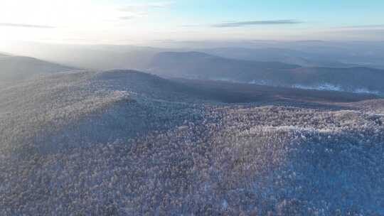 寒冬阳光冻雾笼罩的雪色山林