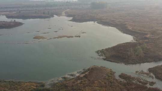 航拍 湿地 鸟 自然保护区 湿地保护区 北方