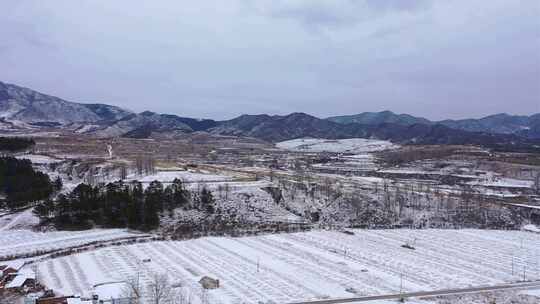 【合集】雪后的北方农村  农村雪景