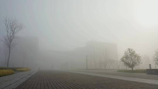 在雾中行走