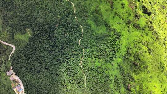 航拍喀斯特地貌地区的高山草甸、草原、森林