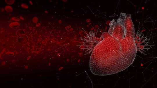 心脏和血细胞