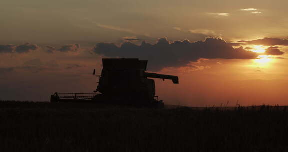 日落时联合收割机收割小麦
