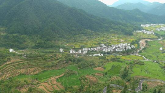 农田种成风景 实现“粮”“景”双丰收