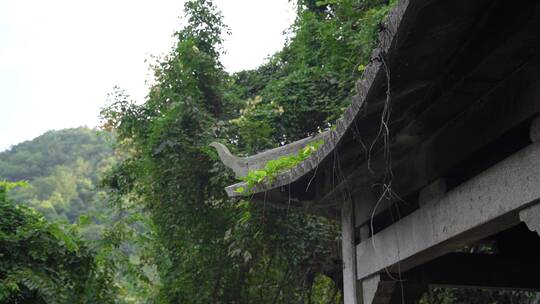 杭州凤凰山景区凤凰池