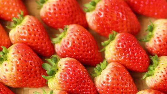 草莓 丹东新鲜草莓