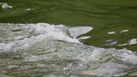 河流河水溪流溪水流水