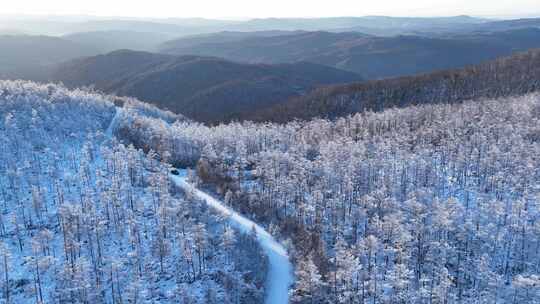 大兴安岭原始森林高山雾凇