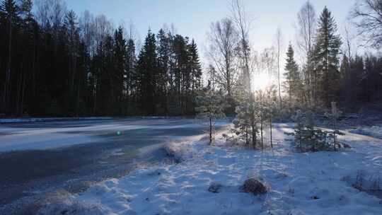 冬日森林积雪与结冰湖面