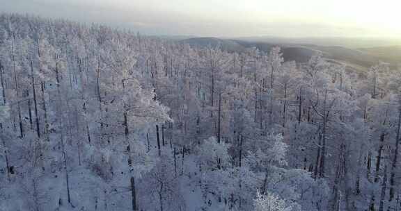 航拍大兴安岭冰雪雾凇、雪凇