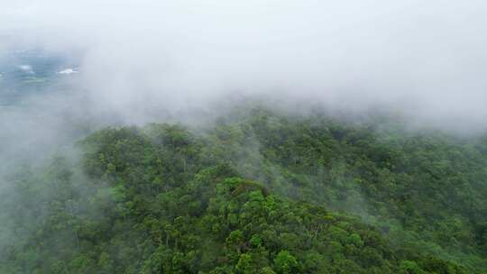 海南保亭黎族自治县热带雨林云海高视角航拍视频素材模板下载