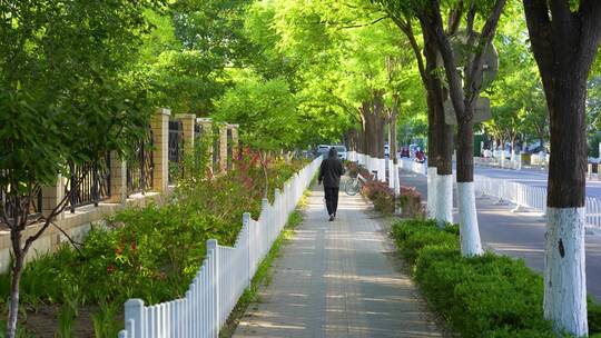 路边小道的行人