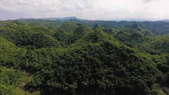 贵州航拍种植基地2