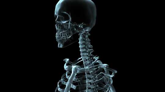 骨骼 医学 动画 头骨视频素材模板下载