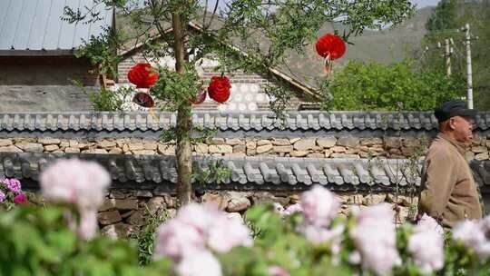 乡村老人与花卉红灯笼场景