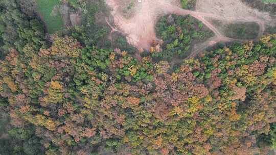 四川德阳罗江区附近山林秋色