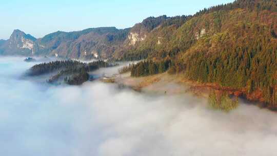 湖北利川毛坝大茅坡清晨曙光与云海山雾