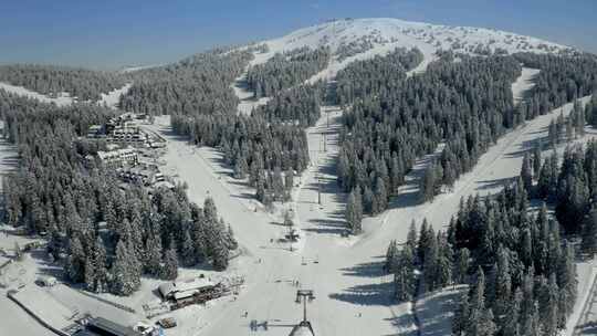 冬季，滑雪场，雪，针叶树