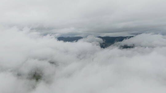 云南松茸航拍空镜穿过云层拍摄大山709