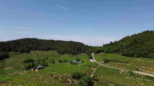 乡村振兴、土地山野